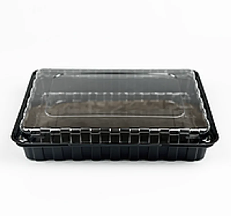 Упаковка для суши, роллов, холодных блюд 270х190х60 мм (3-5 роллов сет) (10 шт/уп)