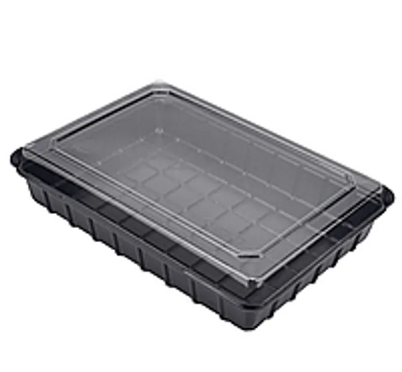 Контейнер с крышкой для суши и роллов  274х195 мм 10 шт